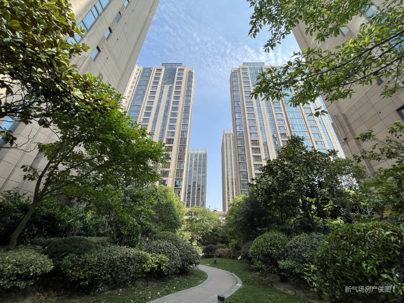 珠江悦公馆有电梯精装修高楼层采光充足楼龄新赵巷