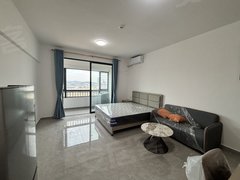 东莞塘厦新开发区塘厦科苑路电梯大单间急租出租房源真实图片