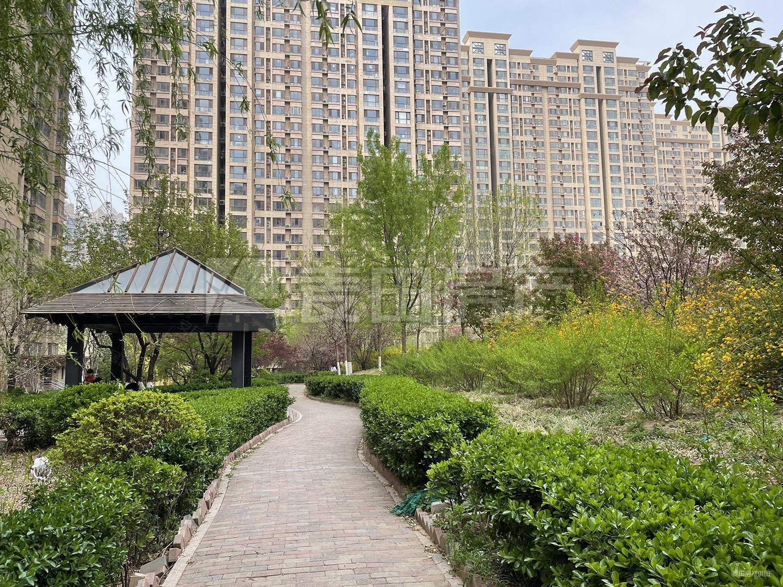 北苑奥森旁林奥嘉园方正一居高层观景看房方便