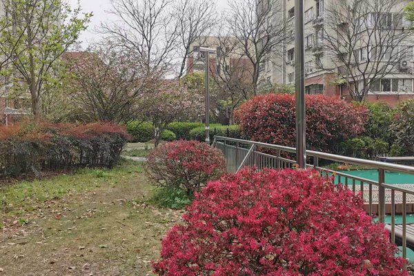君莲新城中城苑 春都路75弄 上海君莲新城中城苑二手房 租房 上海安居客