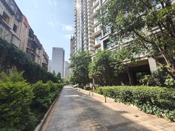 【多图】锦泰花园,新迎片区租房,清爽装修 标准一室一厅 带家具家电
