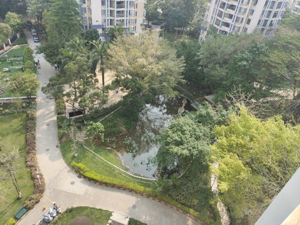 【多图】中城康桥花园(二期),康桥租房,便宜价石芽岭14号线花园社区