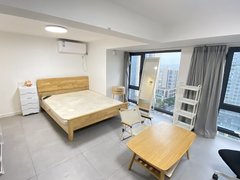 苏州平江平江新城2号线地铁口旁 朝南独卫独厨 高层电梯精装 押一付一民用水电出租房源真实图片