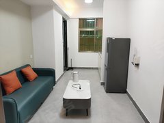 东莞虎门北栅虎门北栅 东方大厦附近 精装一房一厅 拎包入住出租房源真实图片