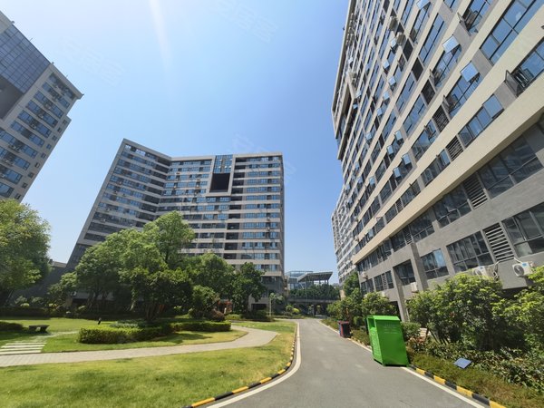 广州花都镜湖大道碧桂园星港国际全新装修 精装一房 碧桂园星港国际出租房源真实图片