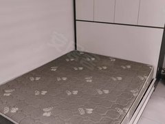 海口美兰白龙出租！没中介！青年路渡头村电梯公寓 拎包入住 押一付一！出租房源真实图片