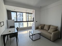 苍南灵溪物资商厦祥和锦园一室一厅全新装修，可押一付一，拎包入住出租房源真实图片