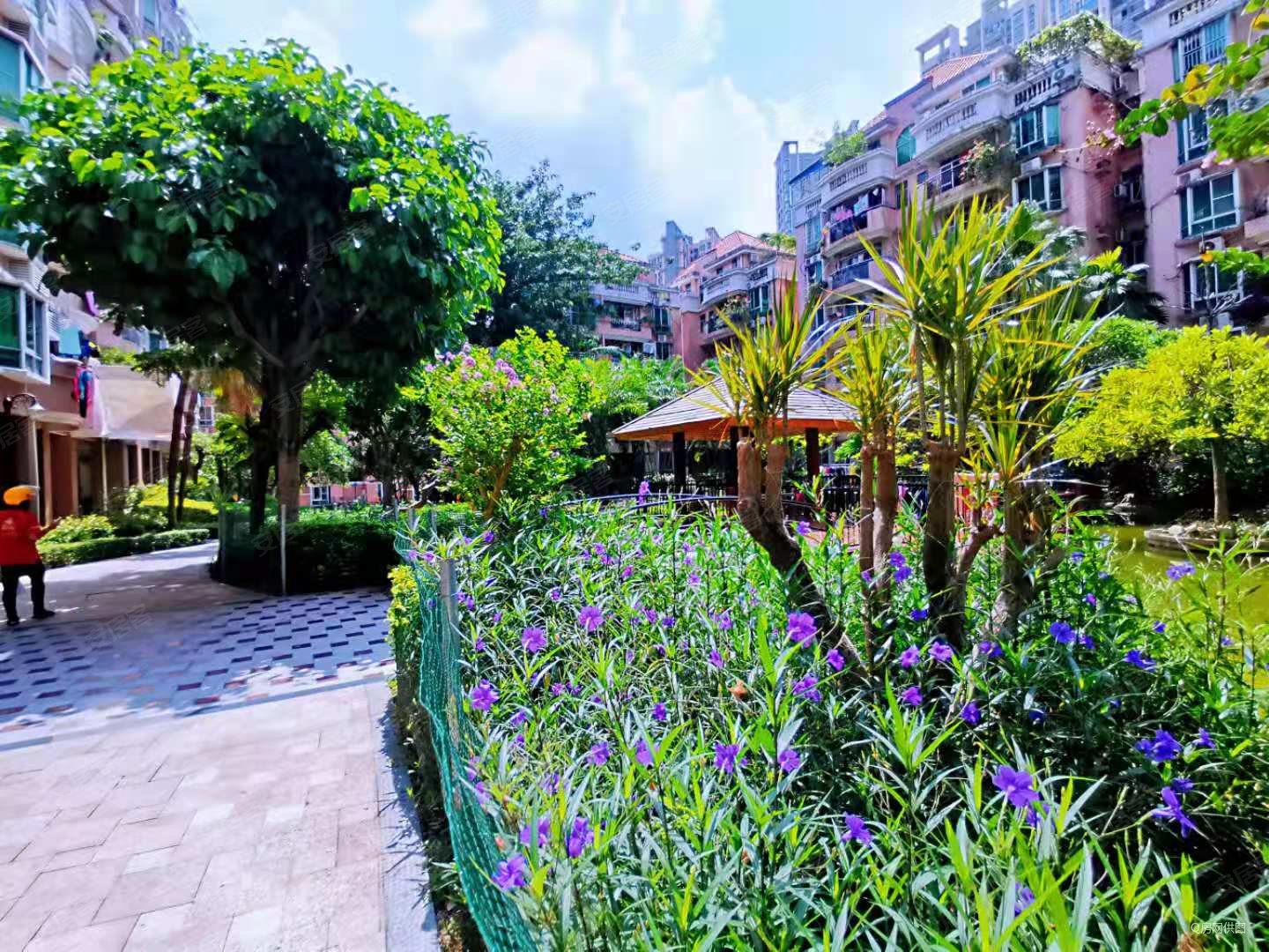 阳光花园3室2厅1卫85.61㎡南315万