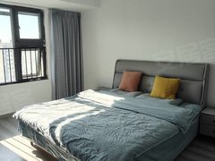 响水滨江路财富广场紧邻响中清源爱琴海双语行政大厅碧桂园一室精装押一付一1000出租房源真实图片