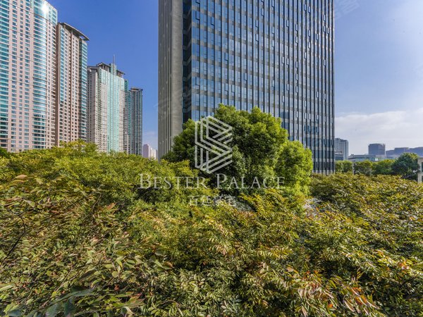 上海浦东陆家嘴保利one56难以置信!这样豪华的装修!这么好的户型!