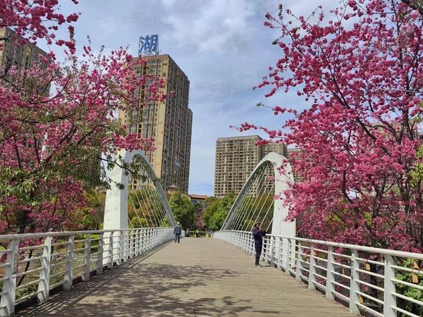 昆明盘龙茨坝天宇澜山天宇澜山 6室0厅2卫出租房源真实图片