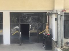 西双版纳景洪龙舟广场玖沐雨林 1室1厅1卫出租房源真实图片