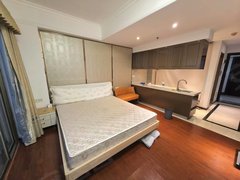 东莞道滘道滘城区钜隆碧琴湾(商住楼) 1室1厅1卫 电梯房 拎包入住出租房源真实图片