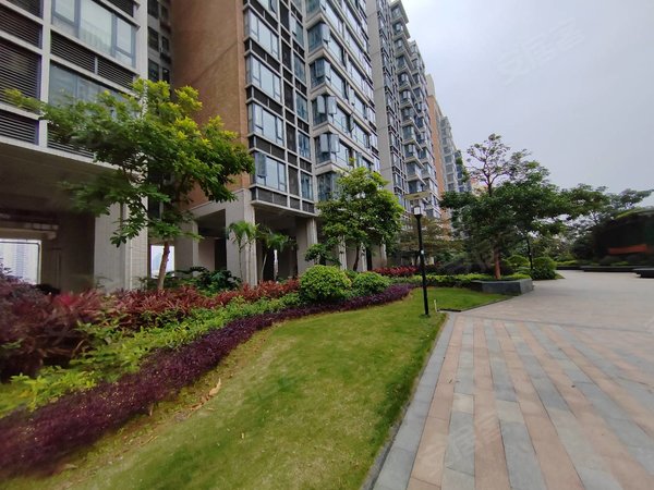 东莞莞城罗沙地王广场(三期)地王广场精装电梯一房一厅出租房源真实