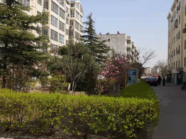 青岛胶州新城区御都花园a区澳门路 御都花园 南区 六楼 阁楼 家具家电