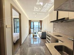 深圳龙岗大运大运体育馆对面，豪华装修大一房，家私家电配齐免停车费出租房源真实图片