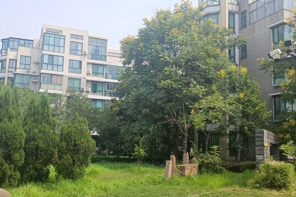 嘉兴小区 桐乡小区 桐乡小区 桂花城 桂花城怎么样