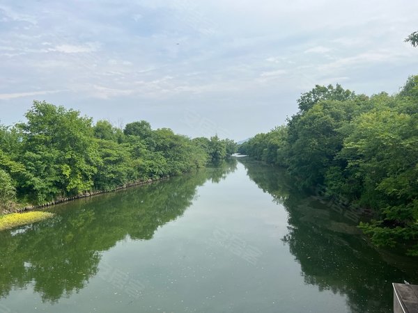 杭州滨江浦沿天鸿君邑(公寓住宅)天鸿君邑 四房 杭二中走路出租房源