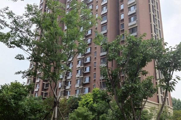 淄博小区 张店小区 人民公园小区 常春藤花园 常春藤花园怎么样