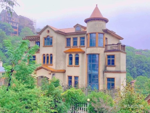 悦禧国际山庄别墅524平588万8室4厅8卫