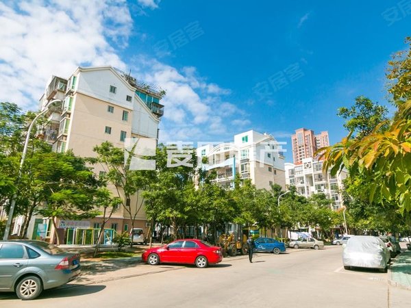 厦门海沧海裕路兴港花园(三期)南向 1室1厅 近地铁口  随时看房出租