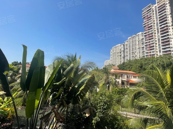 三亚天涯凤凰岛凤凰水城红树湾市中心洋房两房低价短租出租房源真实