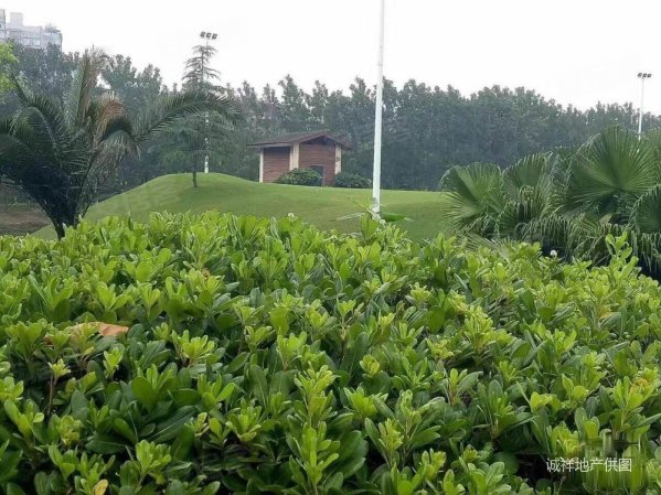 还可以用公积金 首付2成 建面单价7000多点 包