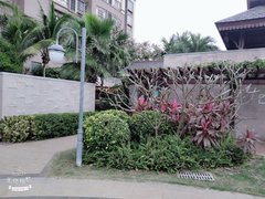 海口龙华城西海马金盘花园 2室1厅1卫出租房源真实图片