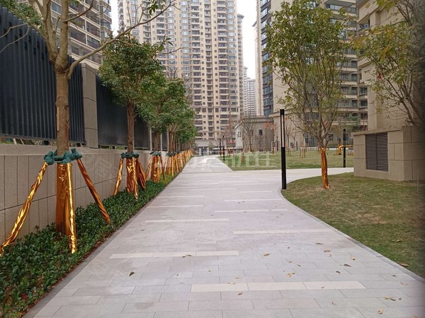 檀府印象精装两房空房免物业费停车费便宜出租,良庆租房-南宁58安居客