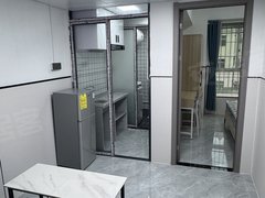 丹竹头村 近地铁口 精装电梯一房一厅 免租一个月 民用水电