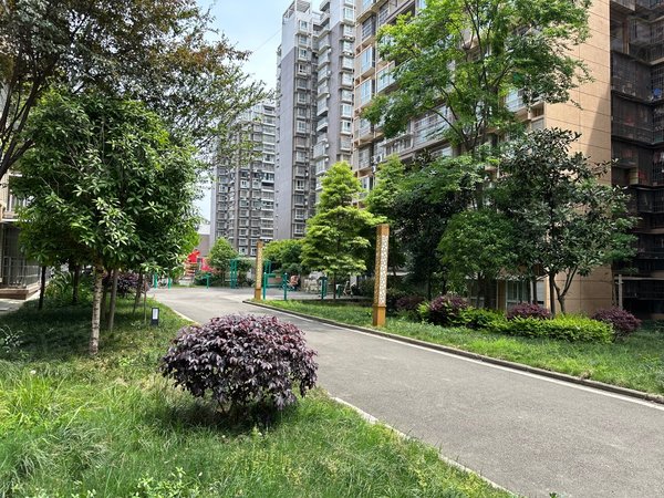 南充阆中汇洋购物广场蓝山公馆一期蓝山公馆一期28楼2室2厅,拎包入住