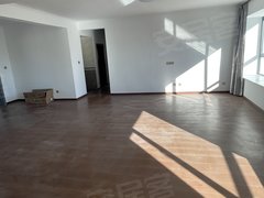 山南乃东安康时代广场乃东贡康小区 4室2厅2卫 163平 电梯房出租房源真实图片