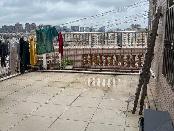 深圳宝安坪洲坪洲坪洲 1室0厅1卫出租房源真实图片