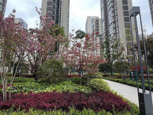 贵阳观山湖奥体中心华润悦府地铁口学校旁边华润悦府,品质小区,精装三