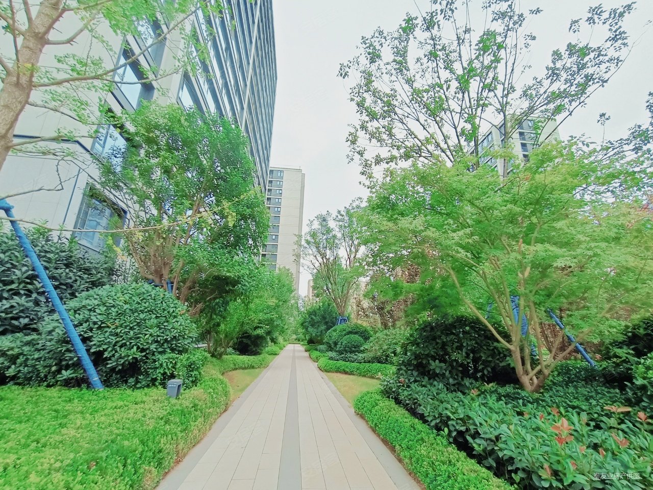 国际港务区奥体中心绿地璀璨天城出门地铁口出门