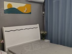嘉兴平湖平湖市区东升南区，标准1室一厅一卫，有天然气豪华装修出租房源真实图片