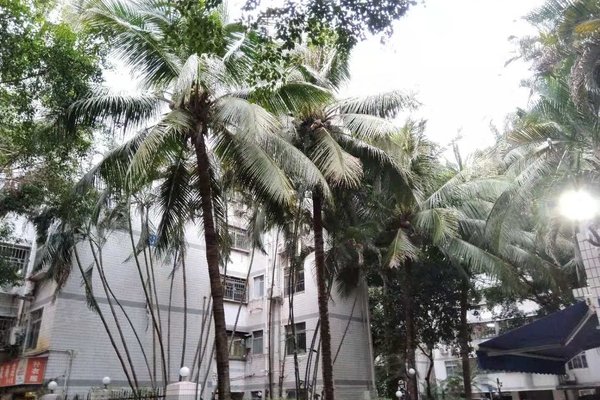 香荔花园(一期)