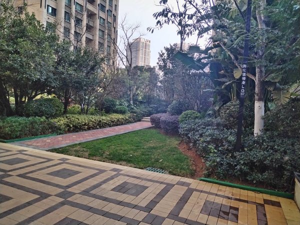 昆明官渡海伦国际海伦城市广场海乐城三房全新装修2300出租房源真实