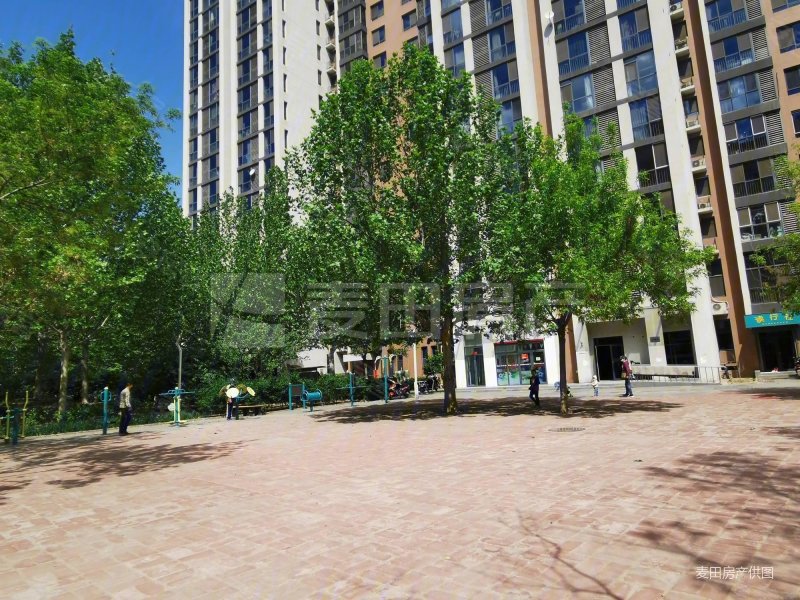 大悦城 6号线 青年汇佳园 二期 高层 东南大一居