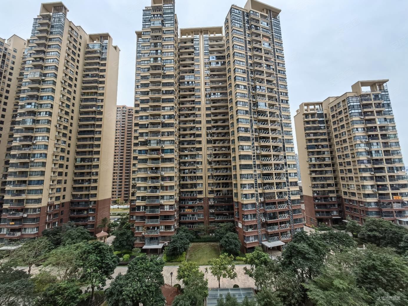 来电有惊喜单价8800起毛坯现楼坦洲十四房旁逸骏星园