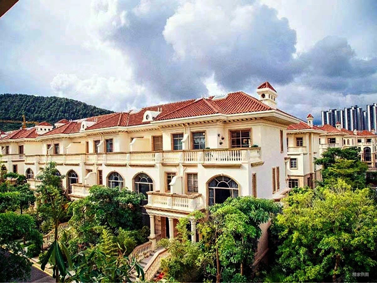 前厅后院端头位别墅澳头港近大湾区商品房合生滨海别墅