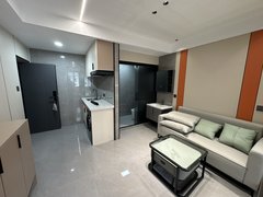 衢州衢江沈家文澜邸旁公寓出租,全屋智能化,家具家电齐全 随时拎包入住出租房源真实图片