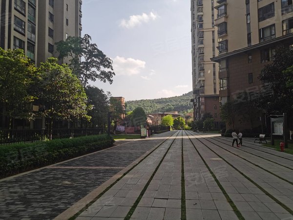 贵阳花溪清溪路保利溪湖a区保利溪湖小区 两室两厅一卫1800元 精装修