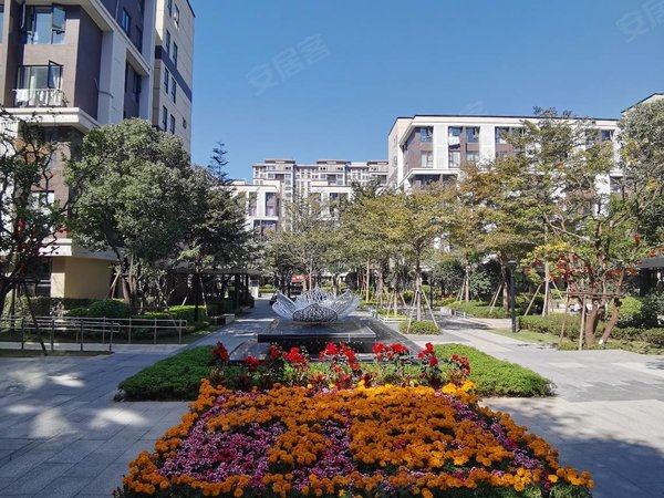 厦门集美灌口龙湖新壹城万达门口 龙湖新壹城精装独门独户公寓租1500