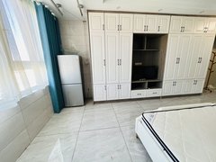 泗洪青阳街道顺河路丽景豪庭公寓,独立厨房有隔断,定制衣柜,精装,拎包入住出租房源真实图片