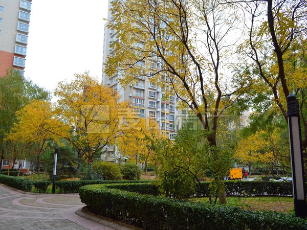 南北通透 4室2厅 中海馥园 有车位 可以长租 高层,海淀租房-北京58