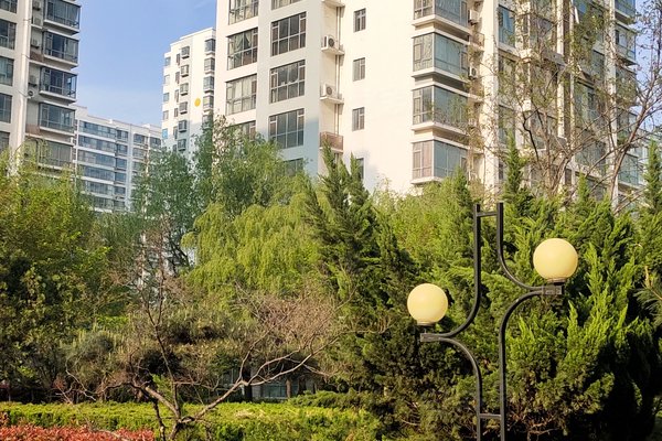 临沂小区 兰山小区 人民医院小区 齐鲁园 齐鲁园怎么样