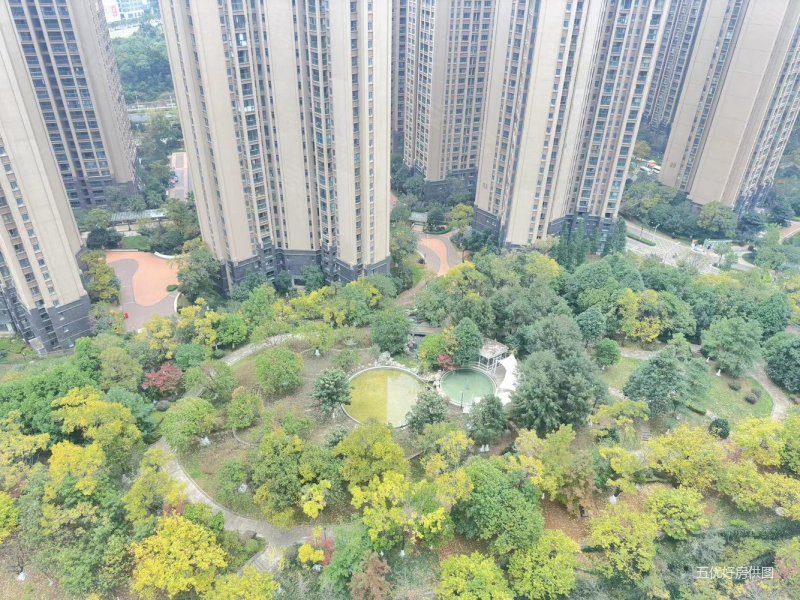 七彩第壹城 精装修两室 带储物 间出行方便市政府旁 诚心出售