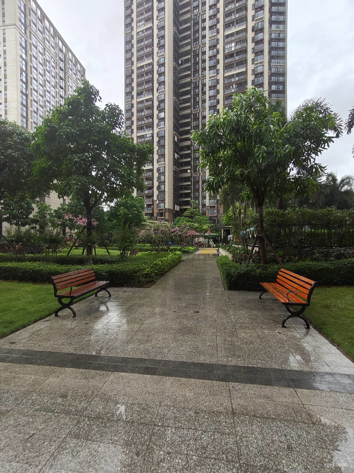 有议价空间 石碣镇区 交通便利 中间楼层采光好 阳光城愉景湾