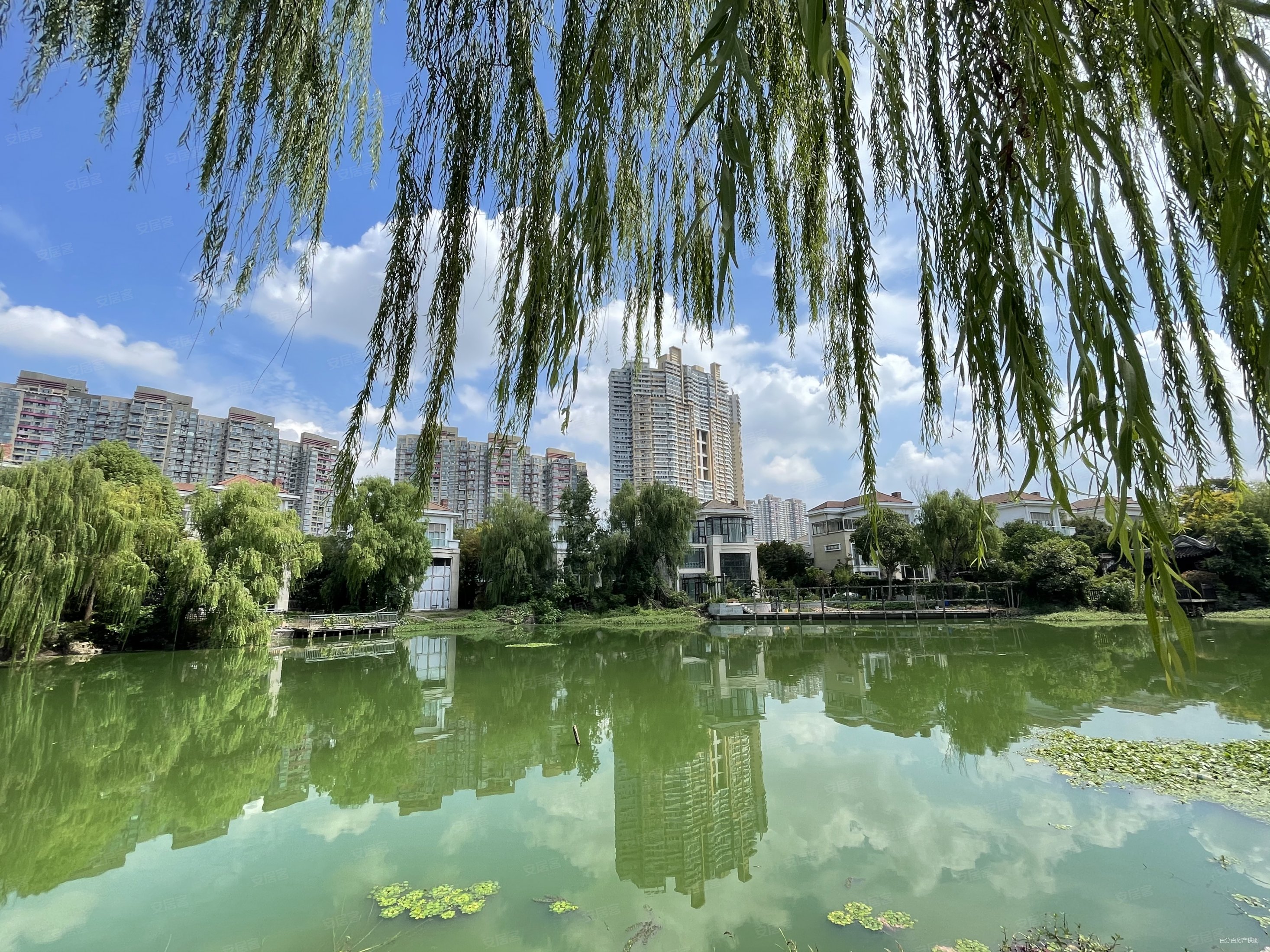 蝶湖湾全朝南2房,中间楼层,看房随时!